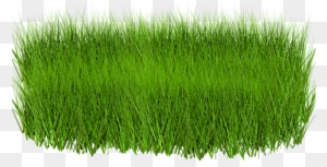 Grass Png Image, Green Picture - Green Grass Images Png
