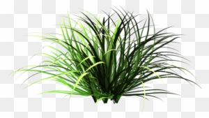 Free Icons Png - Small Patches Of Grass