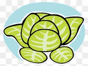 Lettuce Iceberg Veggie Vegetable Leaves Sa - Lettuce Clip Art