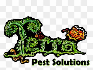 Terra Pest Solutions Now Offers Pesticide-free Pest - Asian Institute Of Technology