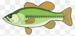 Bass Fish Cliparts - Largemouth Bass Clipart